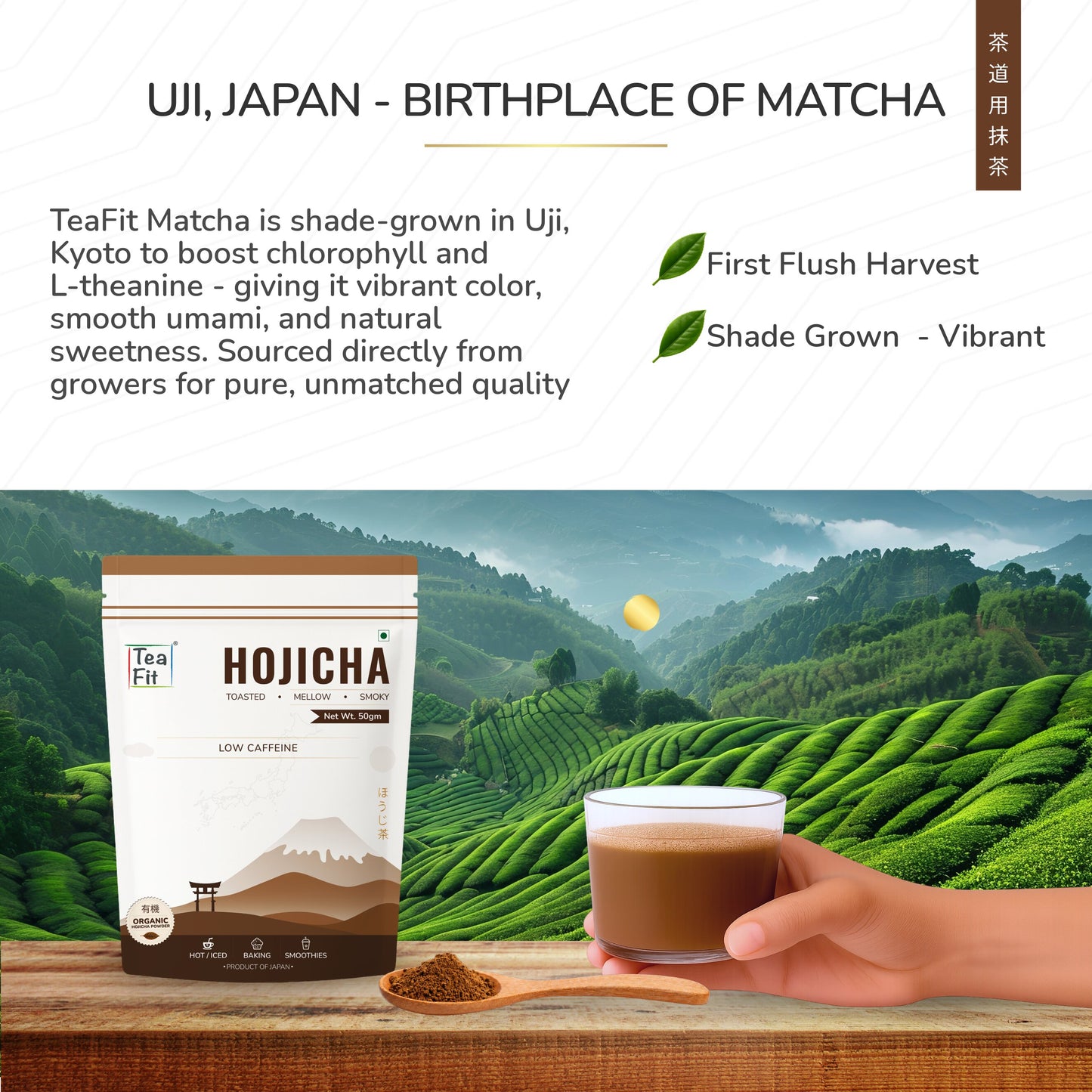 Hojicha