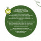 Tea Fit brand story text on a green circular background with a matcha latte cup