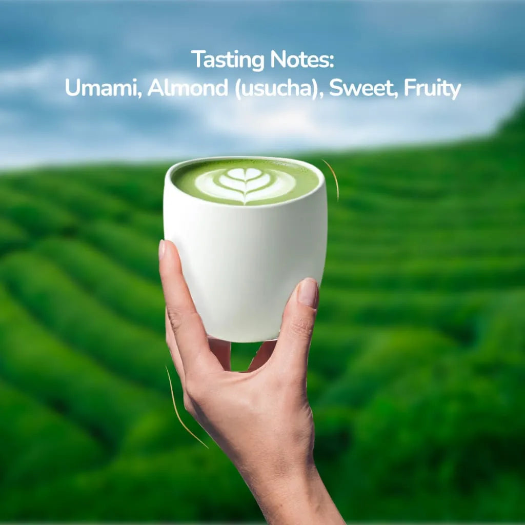 Hand holding a Tea Fit Matcha Latte cup in front of a tea plantation with tasting notes text