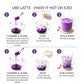 TeaFit Ube Powder preparation guide showing steps to make hot and iced purple yam lattes in glass mugs